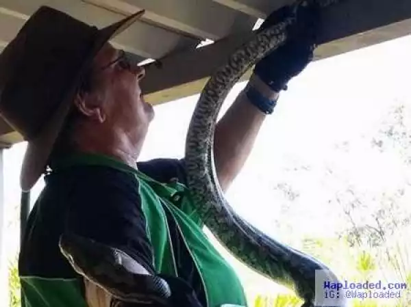 Popular Snake Catcher Dies After Being Bitten by Deadly Taipan During Snake Catching Session (Photo)